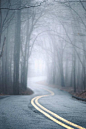 misty road - By: (Jack Wassell) -