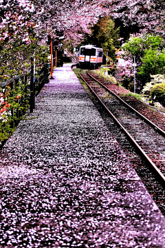 T~IAN采集到风景