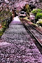 Photograph Arrival in Spring by Minoru Matsumura on 500px