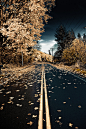 Autumn Road, Kent, Washington
photo via elizabeth