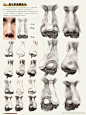 素描头像局部五官课件笔记 ​​​​
