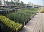 Shanghai Houtan Park / TurenscapeBuilt on a brownfield of a former industrial site, Houtan Park is a regenerative living landscape on Shanghai’s Huangpu riverfront. The park’s constructed wetland, ecological flood control, reclaimed industrial structures 