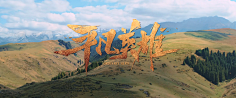 无风流不才子采集到电影片名截图
