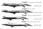 长空之王，F-54F，白尾鸢。