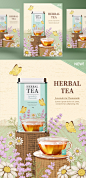 洋甘菊花茶草本有机消炎健康茶包AI矢量海报模板 Brand Chamomile Tea