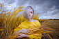 People 2048x1367 women model portrait platinum blonde blue eyes yellow shirt wheat field women outdoors depth of field Paul Mühlbach