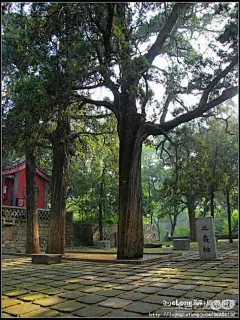 泰山 a 山路弯弯十八盘 climbing the tai mount, U夫子U旅游攻略
