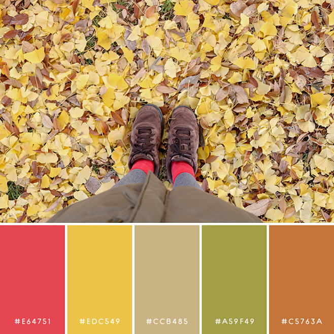 haconiwa Autumn Colo...