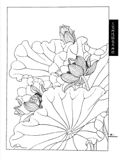 pd7FMSoP采集到工笔