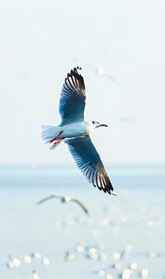 东海的天空采集到百科