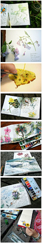 美国自由水彩画家Cathy Johnson的手绘本，一位老奶奶的大自然笔记，每一幅画都像一个美丽的故事，让人心动