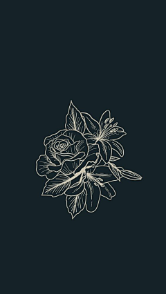 董方虹采集到procreate