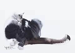 #插画# 日本艺术家村上豊（Yutaka Murakami）画笔下的猫 ​​​​