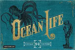 复古手绘航海主题插图素材Vintage Nautical Illustrations 设计模板 