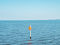 Minnesott to Cherry Branch : A few ferry rides crossing the Nueces River between Minnesott Beach and Cherry Branch, North Carolina.