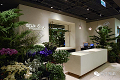 Mrs徐采集到花店