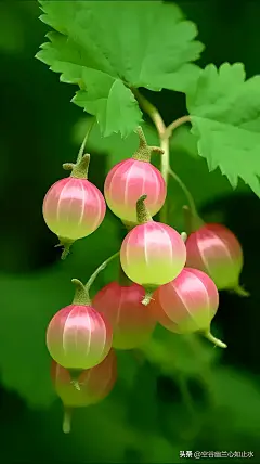 来自分享