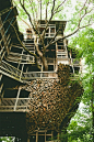 The Ministers Treehouse: A 100ft Tall Church Built Over 11 Years without Blueprints