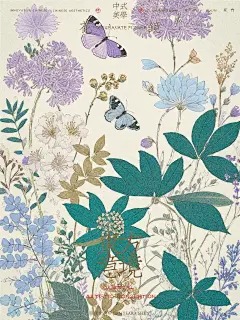 花镜｜夏日繁花 - 小红书