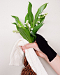 Photo by laceflowersocks on April 23, 2024. May be an image of flower arrangement and white lily.