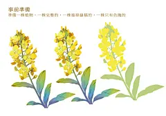 #绘画参考学习#画师MOIY教你绘制花海 ，P站O网页链接