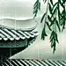 MAX东东