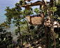 鸟巢餐厅

“古岛”座落于东部 ，是泰国第四大岛屿 ，但作为开发程度最少的一座岛屿，这里却仍然保留着原始的热带雨林 、令人惊奇赞叹的淡水瀑布、传统的民居渔村 ，蔚蓝而清澈见底的海滨以及洁白的沙滩。Six Senses公司在这里开发了苏尼瓦奇瑞生态度假村（Soneva Kiri resort），除了各种独特有趣的别墅，挂在树上的鸟巢餐厅也是一个特色。令人垂涎的美食是由服务员通过空中索道送过来，为你提供令人难忘的用餐体验。

