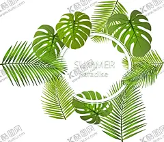 芭蕉叶热带 【酷图网】芭蕉叶热带,植物元素,热带叶,数码印花,叶子,热带叶子,棕榈树叶,芭蕉,香蕉叶,手绘叶子,绿叶,棕榈叶,碎花,热带植物,巴蕉,碎叶,手绘,花朵,大花碎花,细叶,手绘花,线条花,花卉