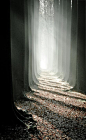 0mnis-e:


Le corridor de mon pére, By Bart Deburgh

