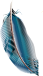 羽毛PNG_动物 静物 意识 _T20191119  _合成素材_T20191119