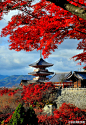 日本：京都、清水寺三重塔，日本的建筑设计不愧是全世界最精致的，虽不能至，心向往之。