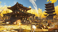 Hanenai采集到场景
