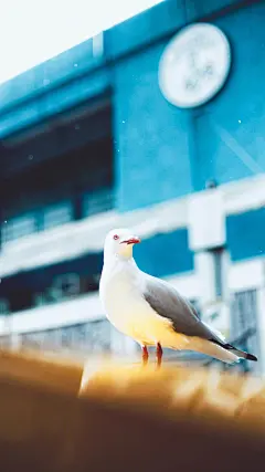 #每日桌面# 手机壁纸一组  |  unsplash.com ​​​​