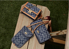 ず照進夣の蓅茪ず采集到COACH