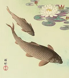 【小原古邨（日本）绘画作品】