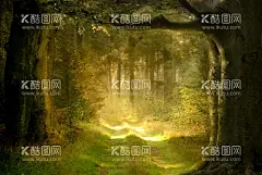森林创意海报图片  - 源文件下载【酷图网】意境,唯美,简约,极简,梦幻,创意,插画,手绘,梦境,小清新海报,卡通插画,森林插画,小清新,简约风格,国潮,韵味,温馨,文艺范,文艺海报,手绘风,浪漫,治愈系,可爱,温暖,安逸,舒适,梦中世界,星空,森系插画,淡雅,文艺风,中国风,放飞梦想,创意合成,萤灵之光,丛林,树林,动物,奇幻森林,森林海报