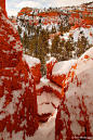 冬天，犹他州，国家森林。Winter, Dixie National Forest, Utah