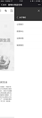 官网移动端新首页侧滑菜单