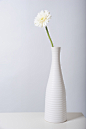 桌子,影棚拍摄,白色,花,茎_117849626_White gerbera daisy in white vase_创意图片_Getty Images China