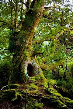 请叫我阿斗斗斗斗采集到风景