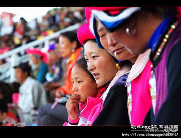 多图 【七彩云南】香格里拉赛马节 （组图...