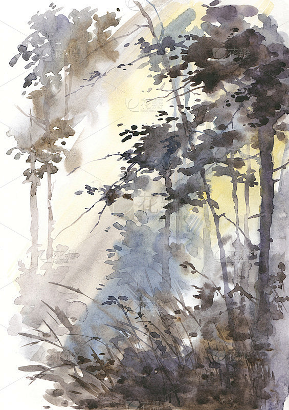 水彩抽象景观，森林在阳光。