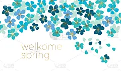 花朵,小的,青绿色,可爱的,自然,图像,壁纸,樱桃,植物群,装饰