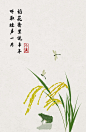 小满 古诗词 石家小鬼原创中国风二十四节气插画，商用请联系邮箱shijiaxiaogui@qq.com，未经允许严禁商用。