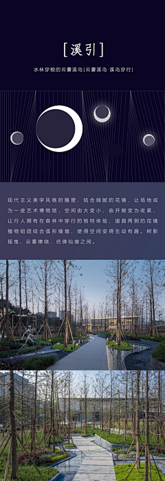 一包感冒灵采集到植物-林下