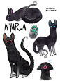 猫猫 cat 动物 另类