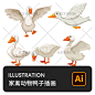 手绘扁平家禽散养动物鸭子大鸭彩鸭番鸭笨鸭插画AI矢量设计素材-淘宝网