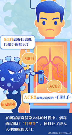 MuijWei采集到长图文