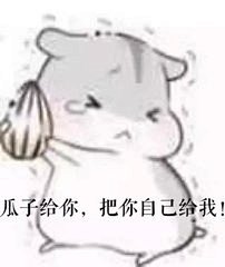 可爱小仓鼠表情包_360图片