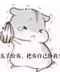 可爱小仓鼠表情包_360图片